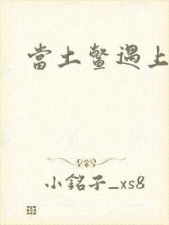 当土鳖遇上海龟