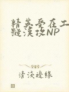 精英受在工地被糙汉攻NP