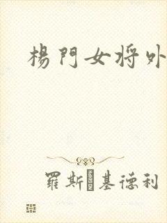杨门女将外传