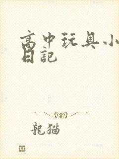 高中玩具小诗的日记