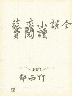 苏奕小说全文免费阅读