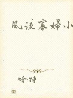 风流寡妇小说