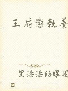 王府惩教养日常