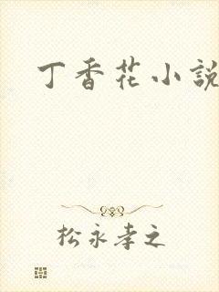 丁香花小说
