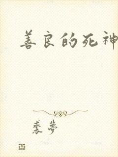 善良的死神小说