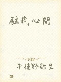 驻我心间