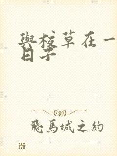 与校草在一起的日子