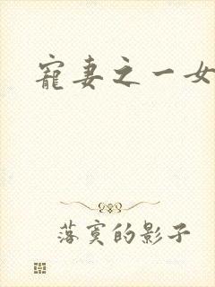 宠妻之一女二夫