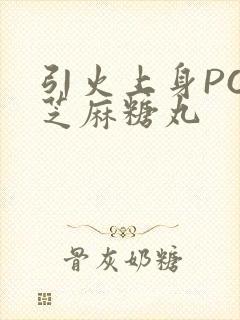 引火上身POP芝麻糖丸