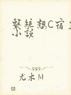 系统想C宿主的小说