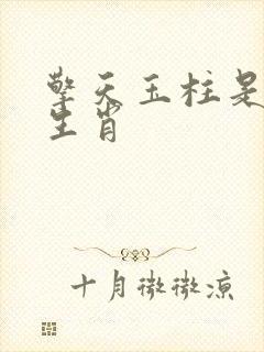 擎天玉柱是什么生肖