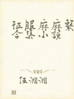 征服麻麻系列大合集小说