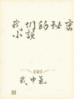 我们的秘密泰剧小说