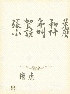 张贺年和叶繁姿小说叫什么名字