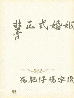 非正式婚姻雾里青