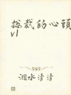 总裁的心头宝1v1