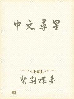 中文寻星