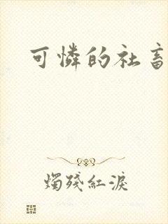 可怜的社畜分手