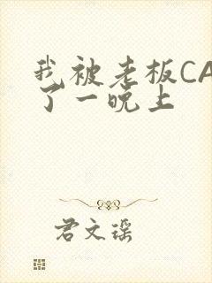 我被老板CAO了一晚上