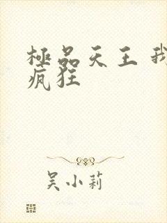 极品天王 我本疯狂