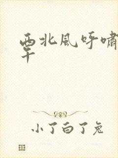 西北风呼啸的中午