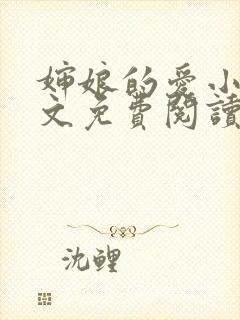 婶娘的爱小说全文免费阅读