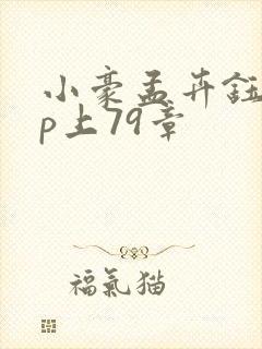 小豪孟卉钰慧三p上79章