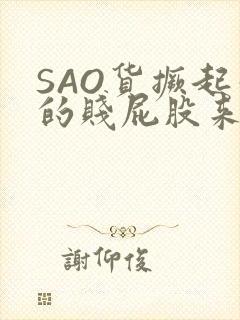 SAO货撅起你的贱屁股来