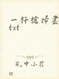 一杆枪扫尽全家txt