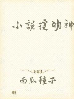 小说琼明神女录