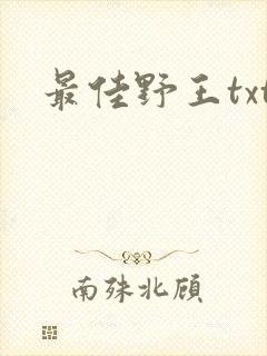 最佳野王txt