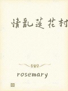情乱莲花村