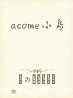 acome小鸟