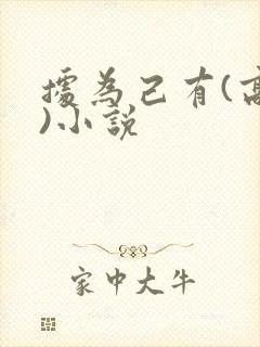 据为己有(高干)小说