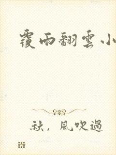 覆雨翻云小说