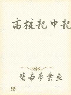 高校龙中龙