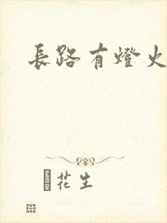 长路有灯火