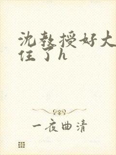 沈教授好大含不住了h