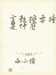 言教授要撞坏了是什么