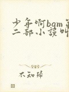 少年啊bgm第二部小说叫什么