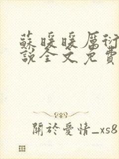 苏暖暖厉衍琛小说全文免费阅读