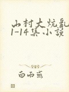山村大炕乱肉续1-14集小说
