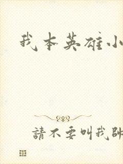 我本英雄小说