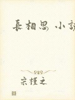 长相思 小说