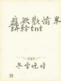 瘾欲欢愉半块小饼干tnt