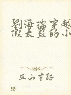 刘海瑞穿越后宫假太监的小说