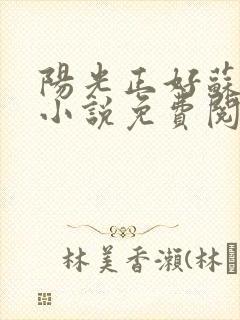 阳光正好苏玥玥小说免费阅读