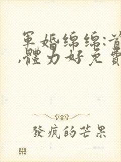 军婚绵绵:首长,体力好免费阅读