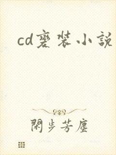 cd变装小说