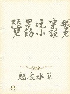 陆星晚穿越成婴儿的小说免费阅读全文